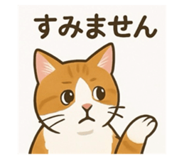 793599441