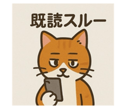 793599454