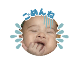 793599686