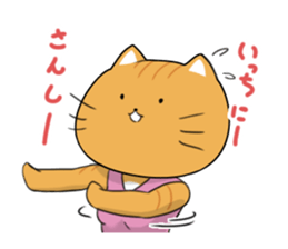 7936006