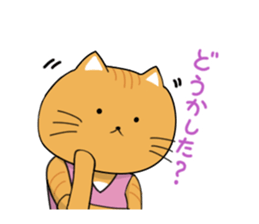 7936010