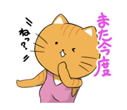 7936017