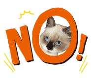 793606586