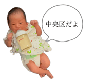 793608445
