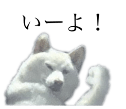 793609745