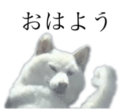 793609746