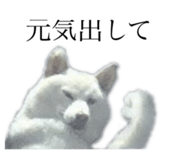 793609747