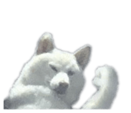 793609751