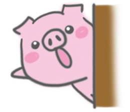 7936364