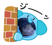 793636646