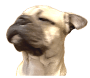 793652503