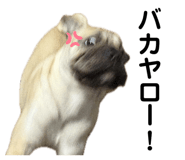 793652506