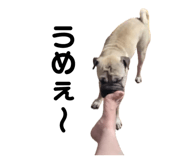 793652513