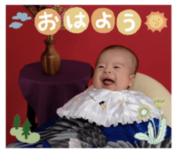 793654426