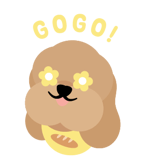 793655376