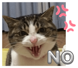 793659080