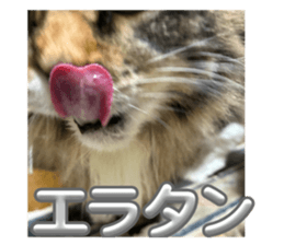 793659087