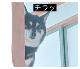793664366