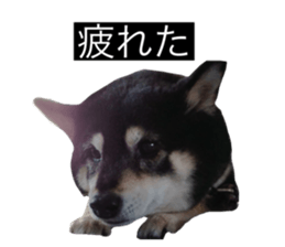 793664368