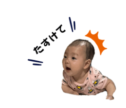 793667523