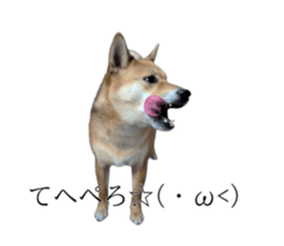 793669099