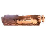 793675917
