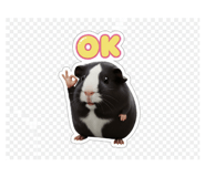 793680937