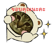 793690071