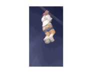 793698559