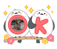 793700497