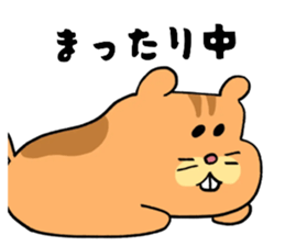 793702026