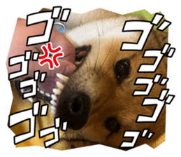 793704765