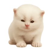 793705675