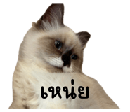 793716655