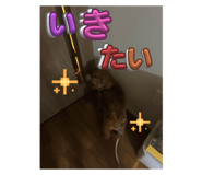 793716922