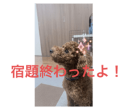 793716943