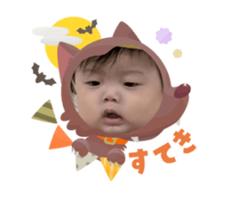 793726446