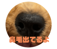 793733272