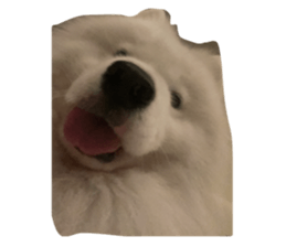 793734840