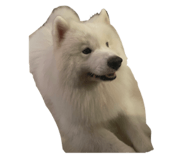 793734843