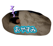 793745046