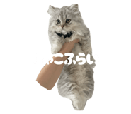 793745394