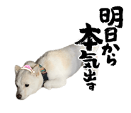 793746668