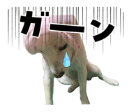 793746670