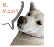 793746673
