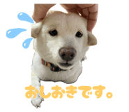 793746678