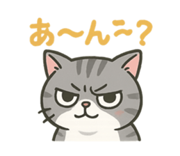 793751538