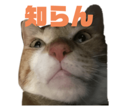 793752373