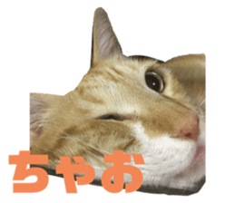793752382