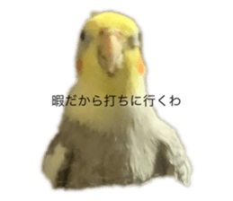 793762180